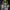 Flaming Lips - Scratching The Door: First Recordings Of The Flaming Lips (CD) - LEVITATION
