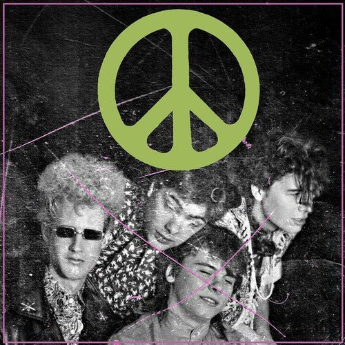 Flaming Lips - Scratching The Door: First Recordings Of The Flaming Lips (CD) - LEVITATION