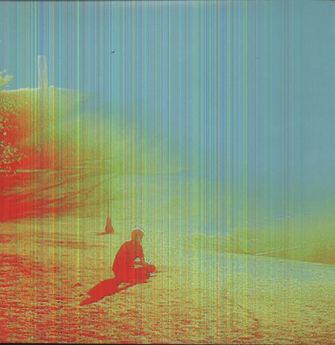 Flaming Lips - Terror - LEVITATION