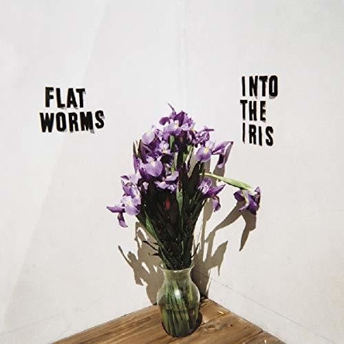 Flat Worms - Into the Iris - LEVITATION
