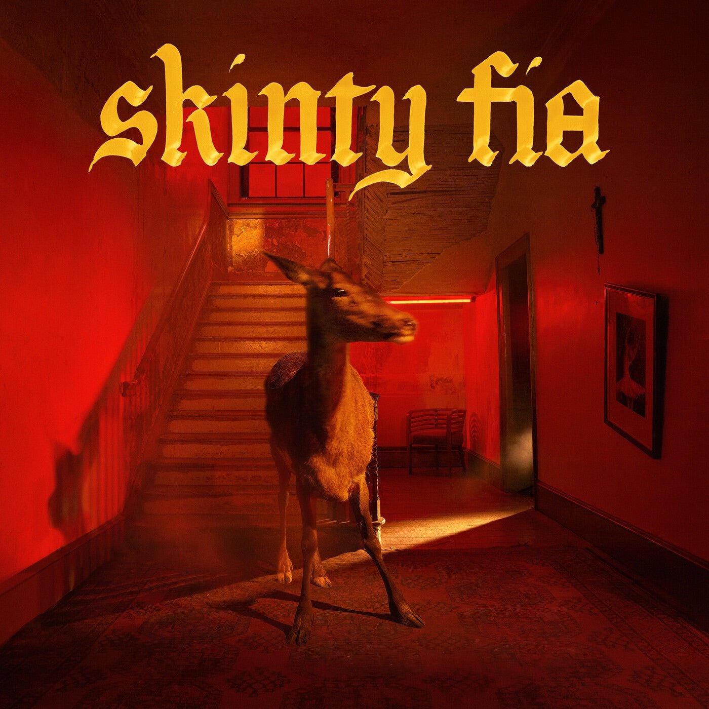 Fontaines D.C. - Skinty Fia (Cd) - LEVITATION