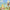 Frankie Cosmos - Inner World Peace (CD) - LEVITATION