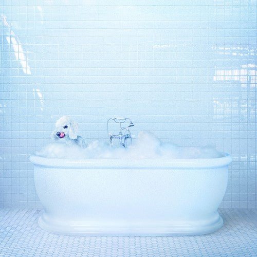 Frankie Cosmos - Vessel - LEVITATION