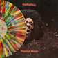 Funkadelic - Maggot Brain (Levitation Edition) - Super Stupid Rainbow Splatter - LEVITATION