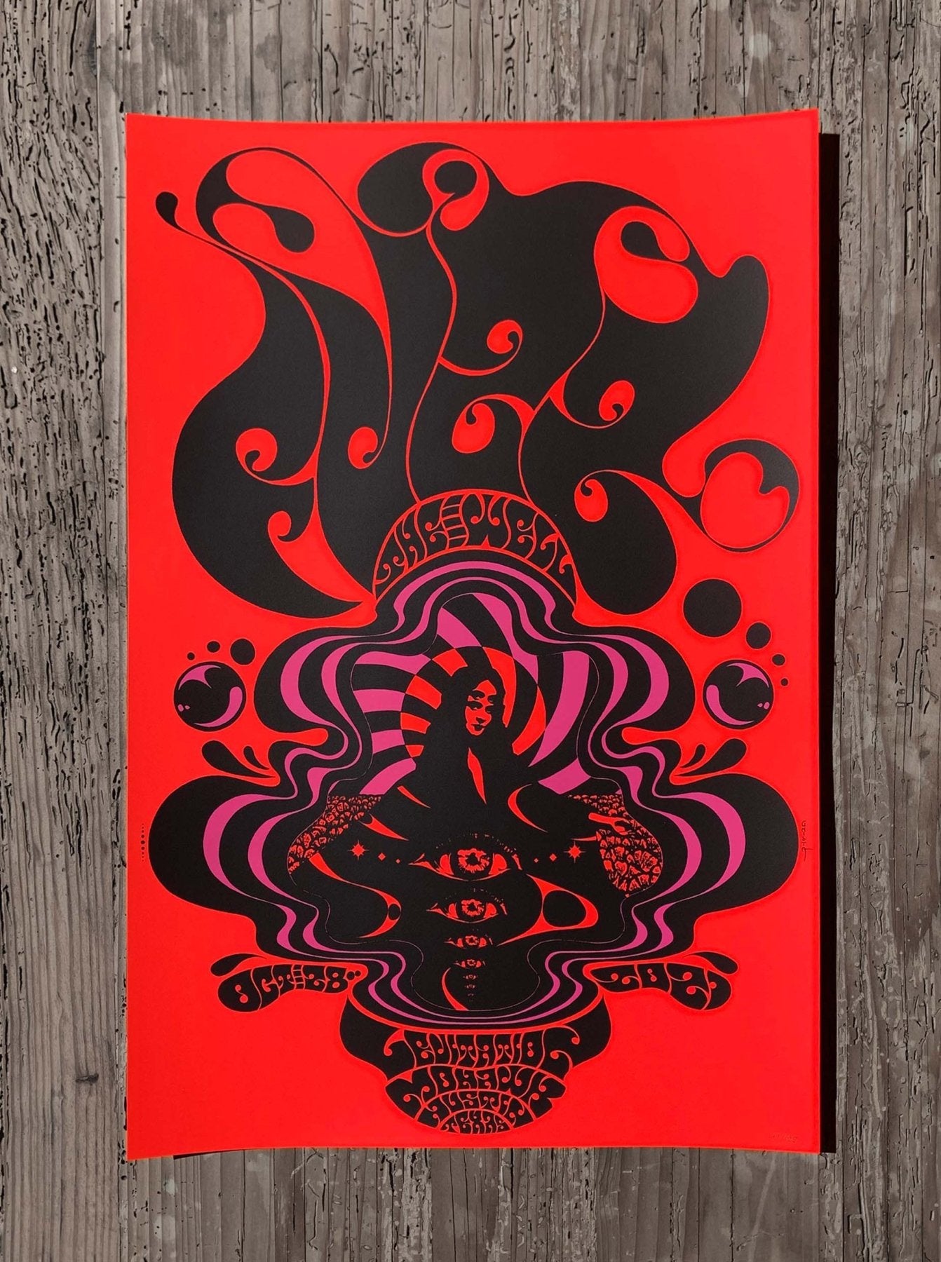 FUZZ Poster by Robin Gnista - ARCHIVE - LEVITATION