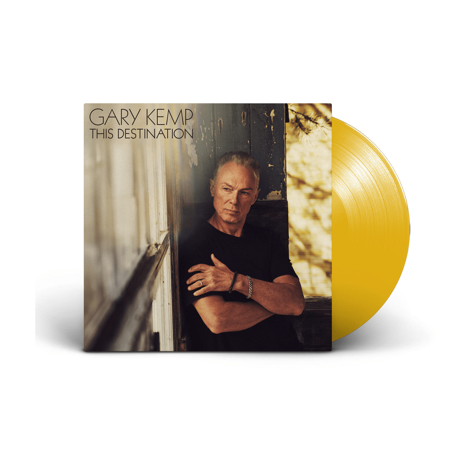 Gary Kemp - This Destination - LEVITATION