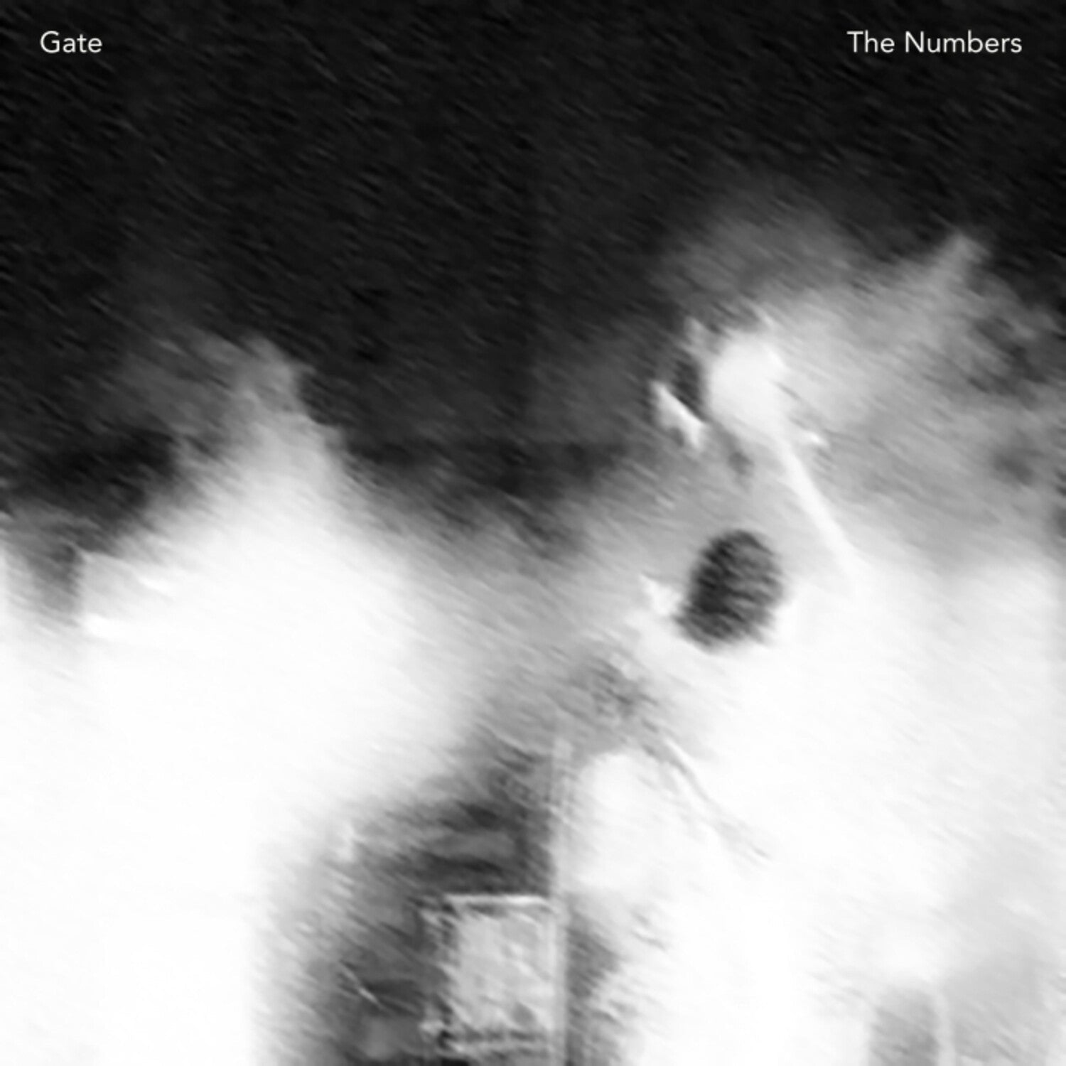 Gate - The Numbers - LEVITATION