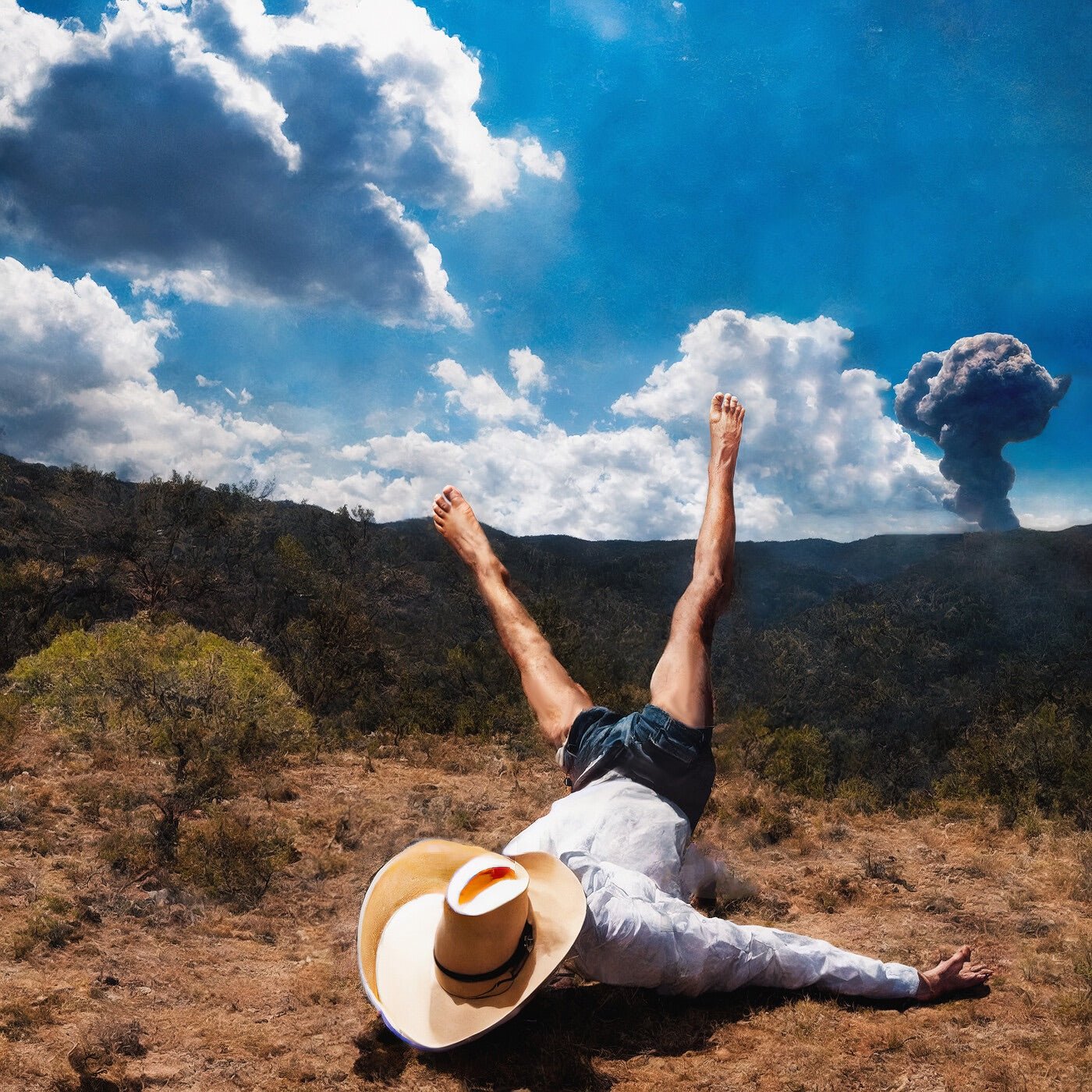 Geese - 3D Country (Cd) - LEVITATION