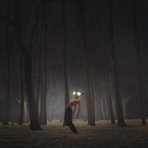 Geese - Projector - LEVITATION