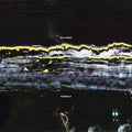Gilla Band - Pugnello