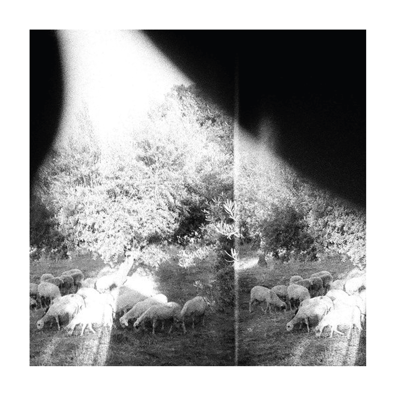 Godspeed You Black Emperor - Asunder Sweet & Other Distress - LEVITATION