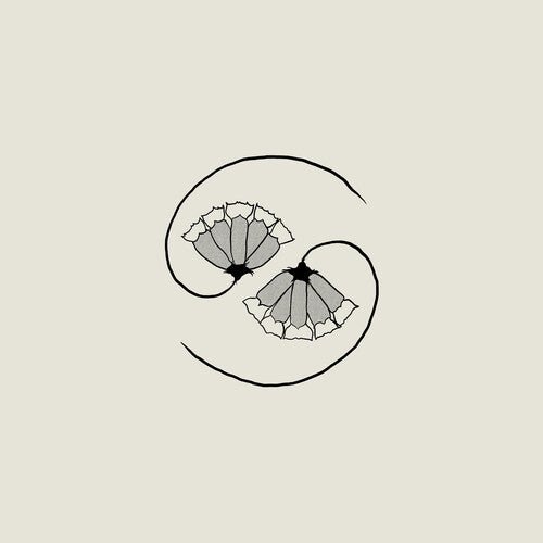 Godspeed You Black Emperor - G_d's Pee at State's End (Incl. 10) - LEVITATION