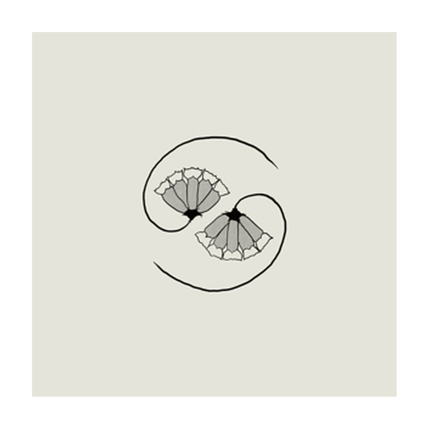 Godspeed You Black Emperor - G_d's Pee at State's End (Incl. 10) - LEVITATION