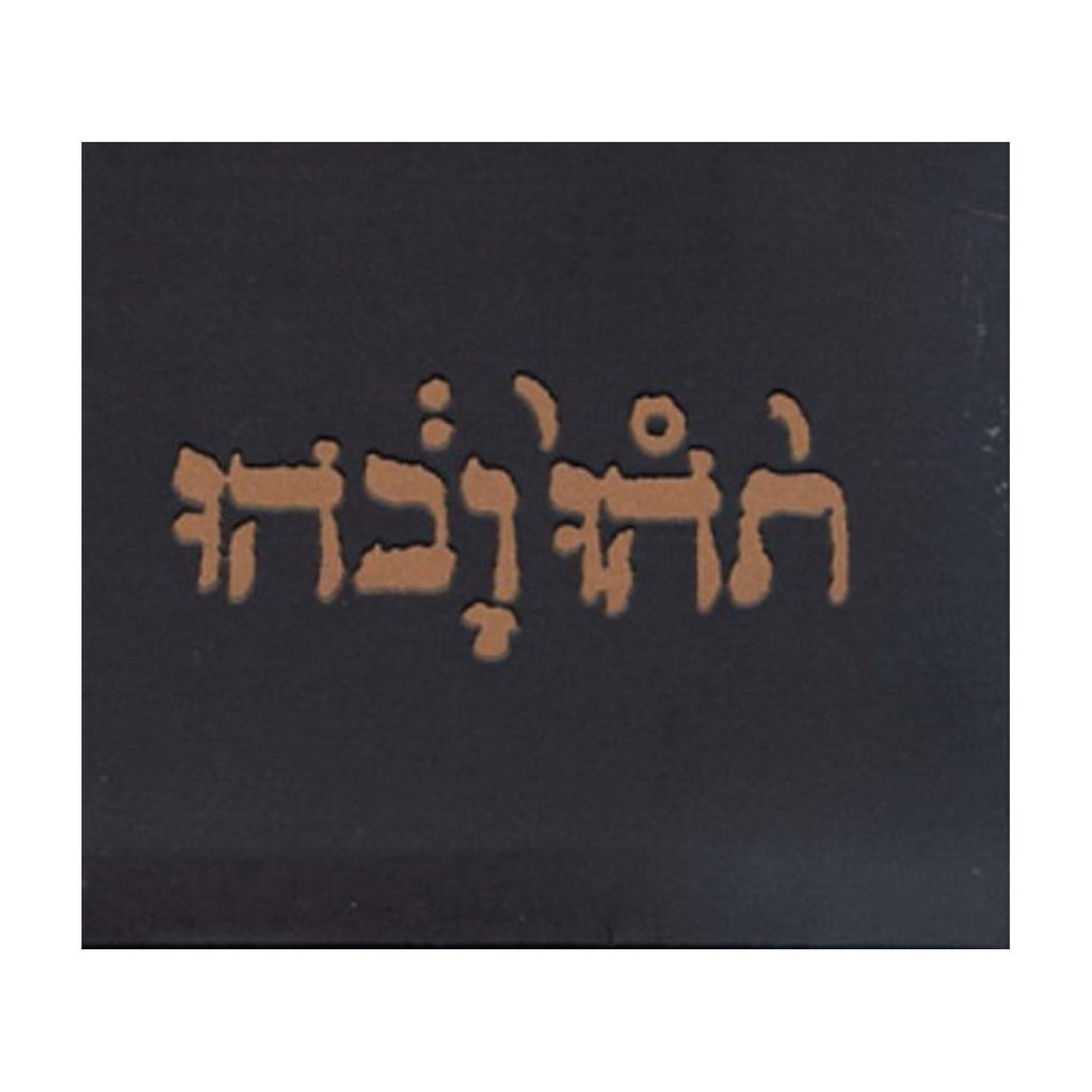 Godspeed You! Black Emperor - Slow Riot for New Zero Kanada