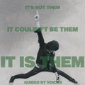 Guided By Voices - It's Not Them. It Couldn't Be Them. It is Them