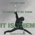 Guided By Voices - It's Not Them. It Couldn't Be Them. It is Them (Cd)