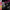 Gun Club - Live at the Hacienda '84 (Purple Vinyl) - LEVITATION