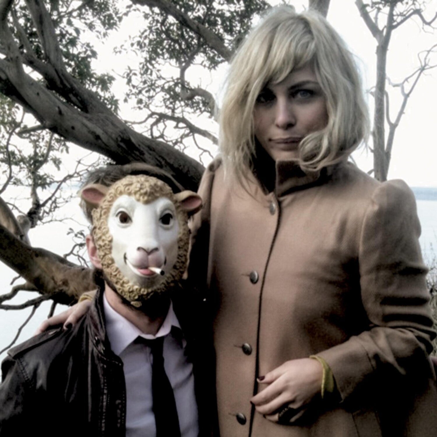 Head & The Heart - The Head and the Heart - LEVITATION