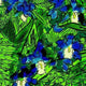Sticky Image