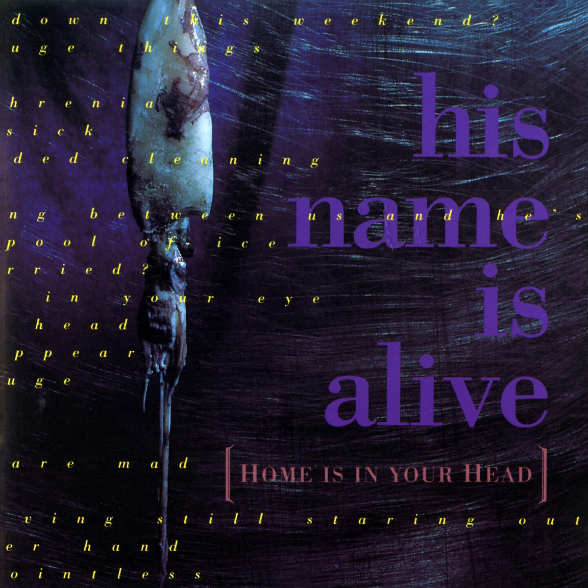 His Name Is Alive - Home is in Your Head (CD) - LEVITATION