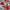 Holly Herndon - Platform 2xLP - LEVITATION