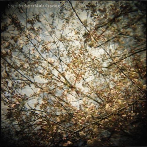 Horse Feathers - Thistled Spring - LEVITATION