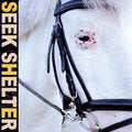 Iceage - Seek Shelter (Cd)