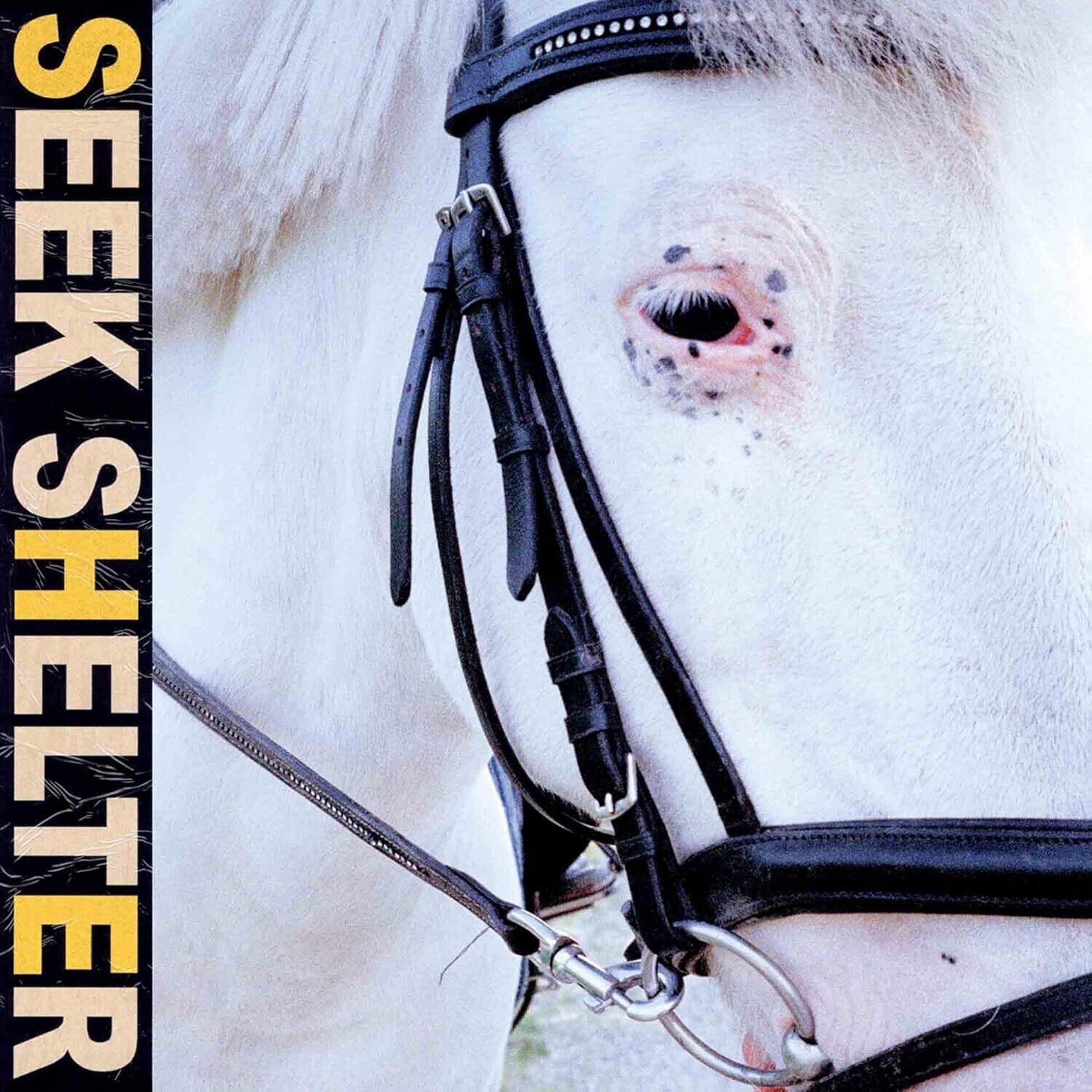 Iceage - Seek Shelter (Cd) - LEVITATION