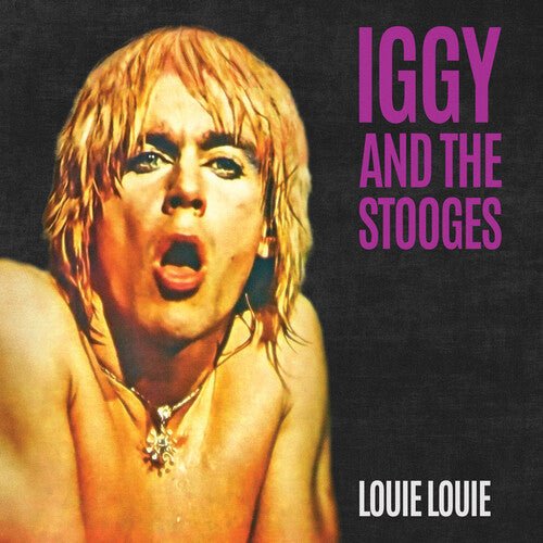 IGGY & STOOGES - Louie Louie - LEVITATION