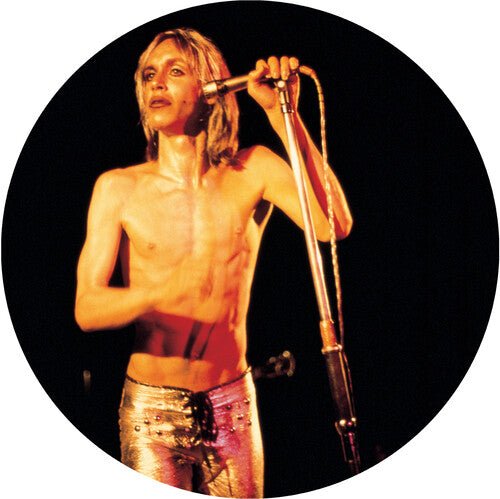 IGGY & THE STOOGES - MORE POWER - LEVITATION