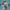 Imaginational Anthem 9: Ryley Walker Presents / Va - Imaginational Anthem 9: Ryley Walker Presents / Va - LEVITATION