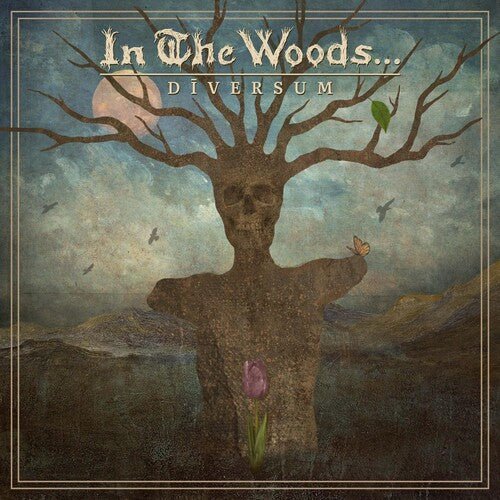 In The Woods - Diversum - LEVITATION