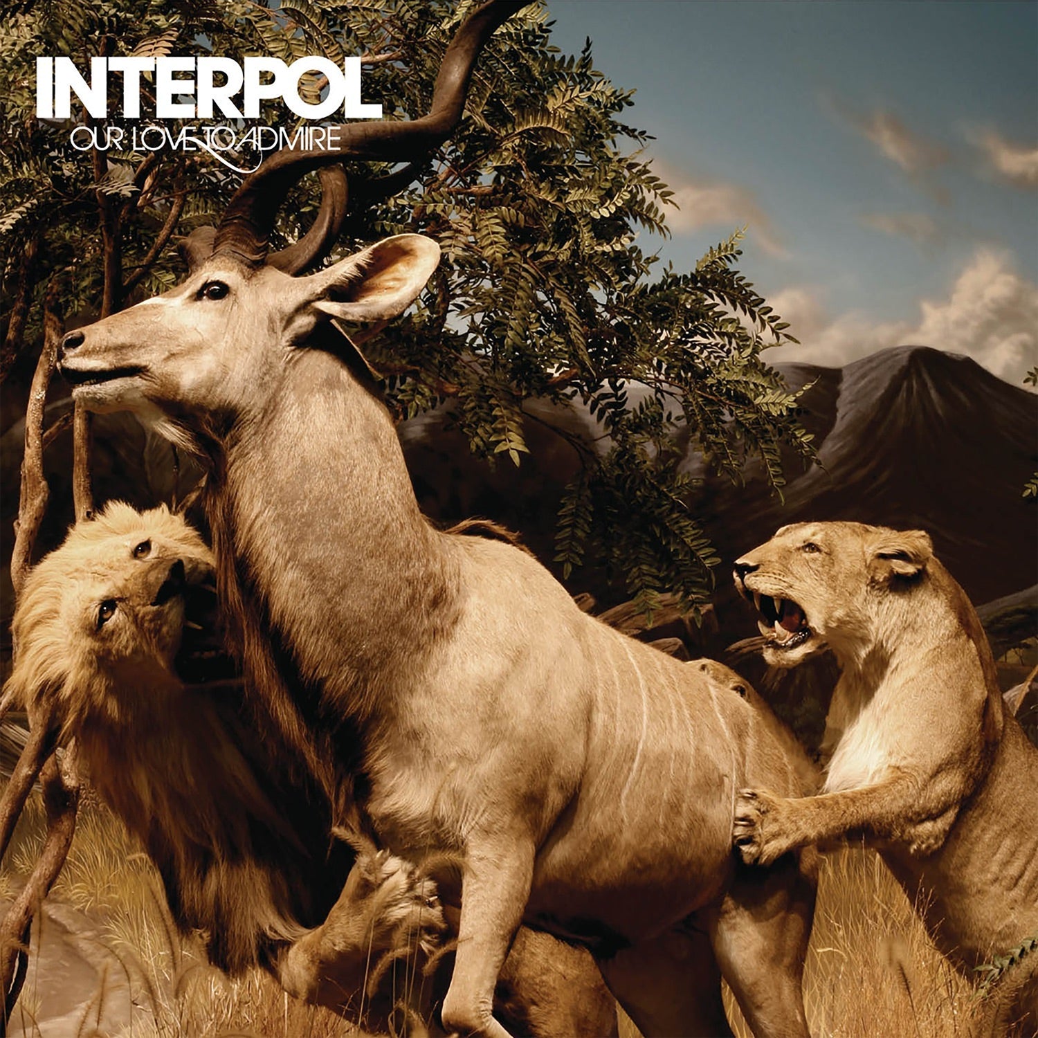 Interpol - Our Love to Admire (CD) - LEVITATION