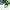 Iqu / Miranda July - Girls on Dates Ep - LEVITATION