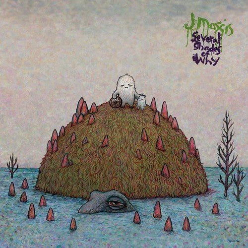 J Mascis - Several Shades of Why - LEVITATION