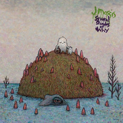 J Mascis - Several Shades of Why (CD) - LEVITATION
