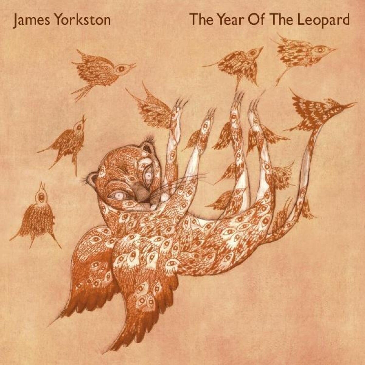 James Yorkston - The Year of the Leopard 2xLP - LEVITATION