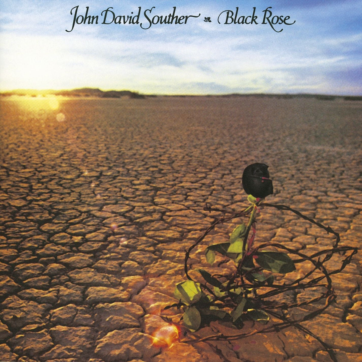 J.d. Souther - Black Rose 2xLP - LEVITATION