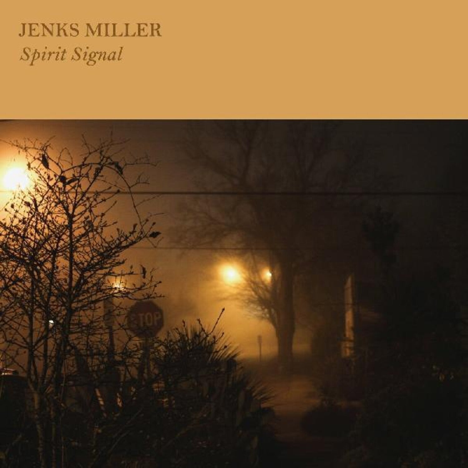 Jenks Miller - Spirit Signal - LEVITATION