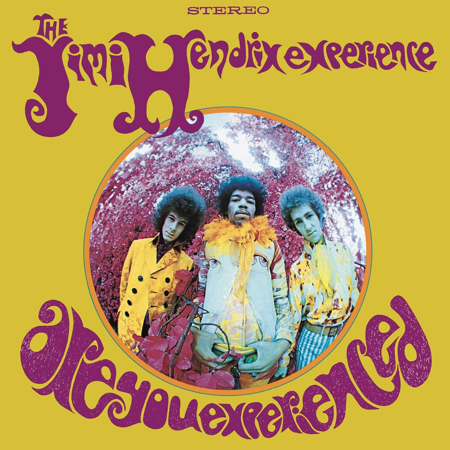 Jimi Hendrix - Are You Experienced - LEVITATION