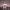 Jimmy Somerville - Dare to Love 2xLP (Anniversary Edition) - LEVITATION