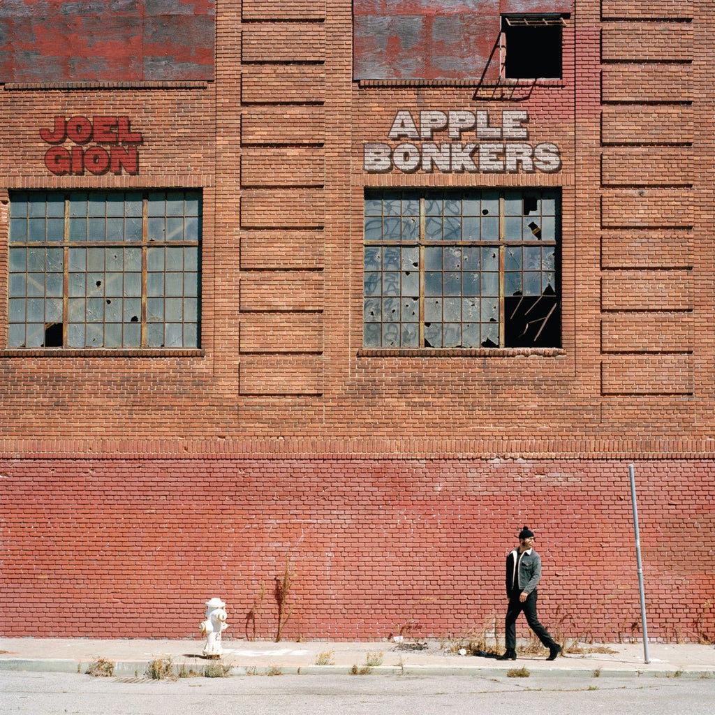 Joel Gion - Apple Bonkers LP - LEVITATION