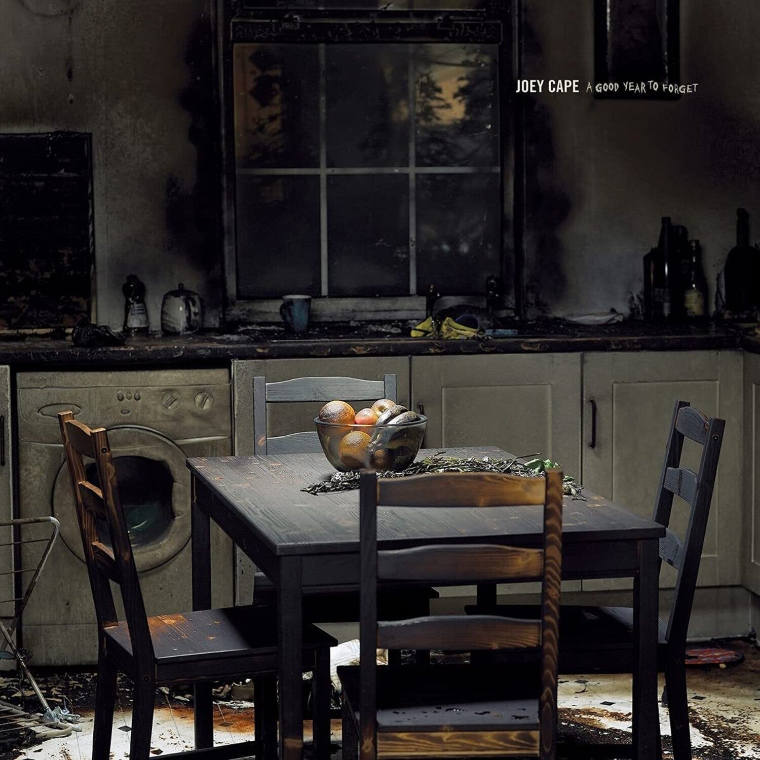 Joey Cape - A Good Year to Forget - LEVITATION