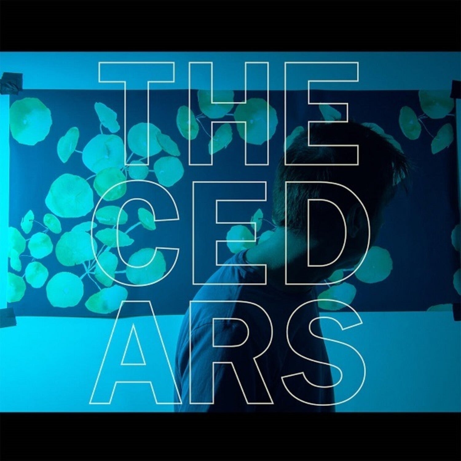 John Vanderslice - The Cedars - LEVITATION
