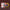 John Waters - It's in the Book - LEVITATION