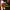 Jukebox Romantics - The Jukebox Romantics (Cd) - LEVITATION