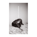 Julia Holter - Materia