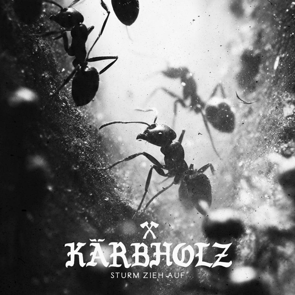 Karbholz - Sturm Zieh Auf (CD) - LEVITATION