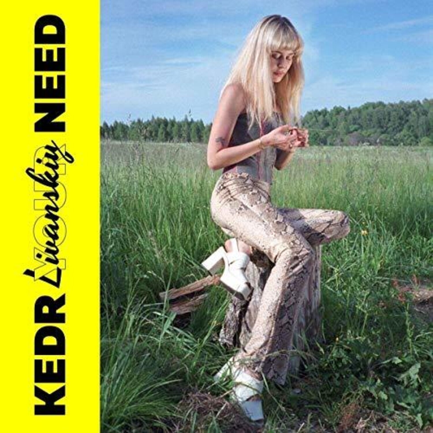 Kedr Livanskiy - Your Need - LEVITATION