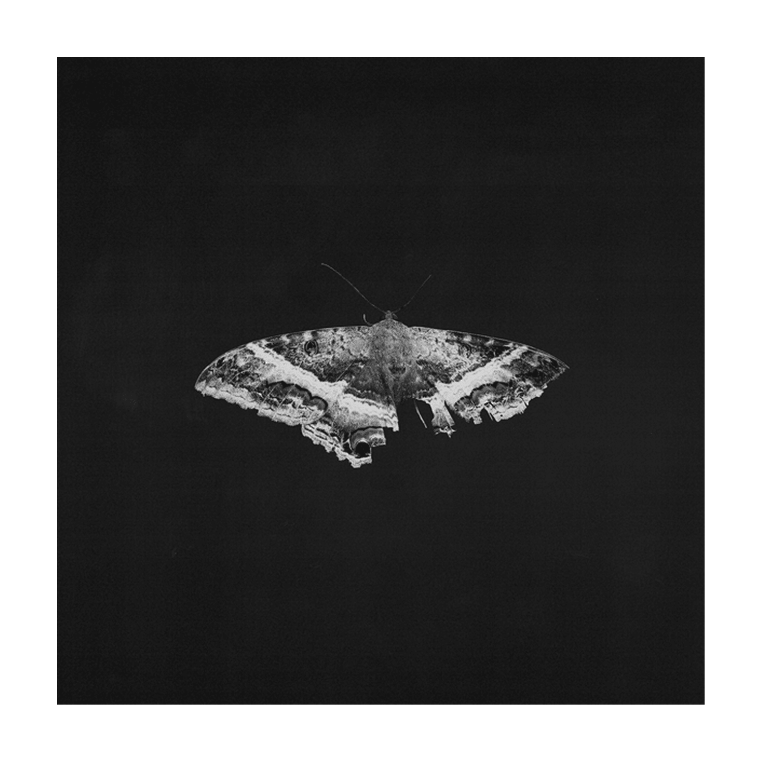 Kendrick Lamar - To Pimp a Butterfly 2xLP (Anniversary Edition) - LEVITATION